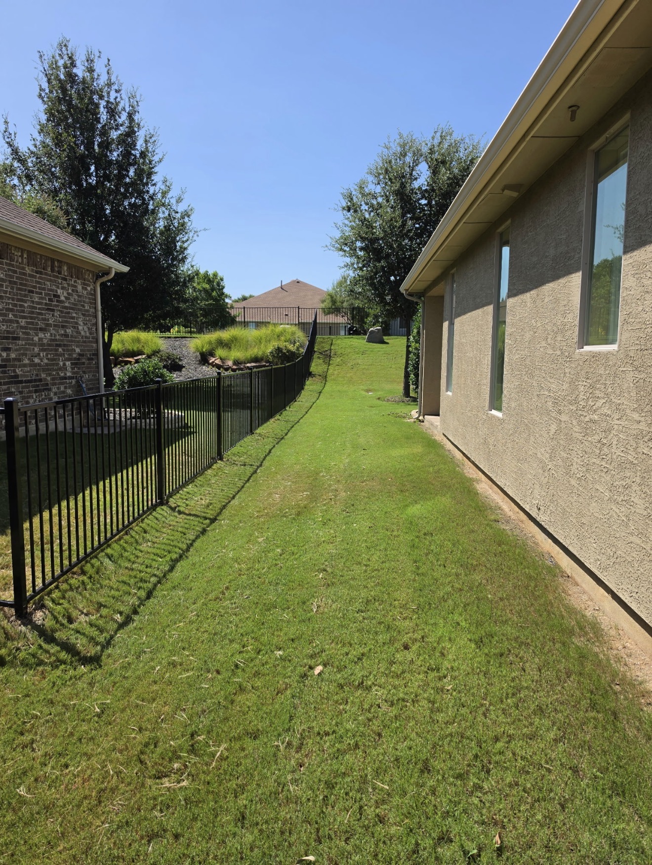 Black metal fence in a grassy side yard